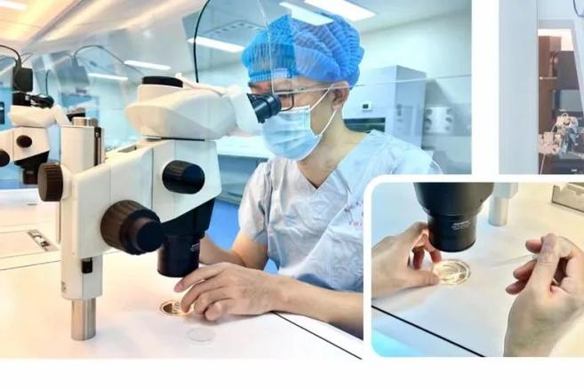 成都2026年贵阳试管婴儿费用明细 一次多少钱？