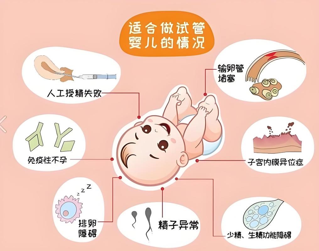 成都试管婴儿科普干货 从检查到移植一篇看懂