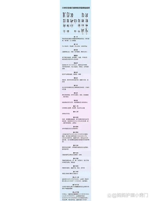 成都PGT胚胎筛查能避免遗传病吗 试管家庭必看