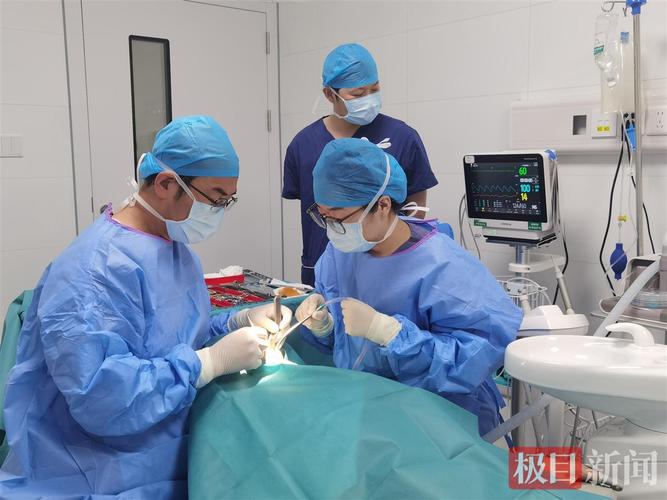 成都90岁老人种牙行不行 医生说了大实话