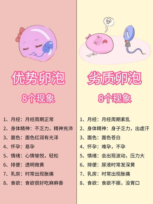 成都卵子质量不好怎么办 备孕提高卵子质量的三步法