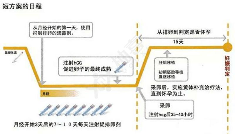 成都试管促排卵全流程 掌握这几点成功率更高