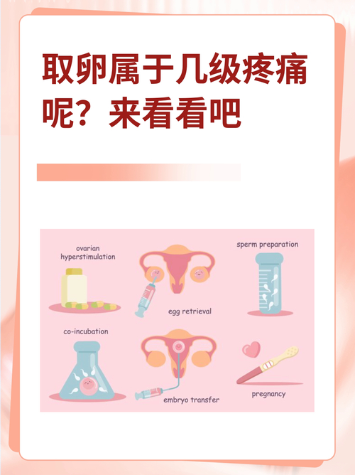 麻醉取卵后会疼几天_麻醉取卵好还是不麻醉好_取卵麻醉