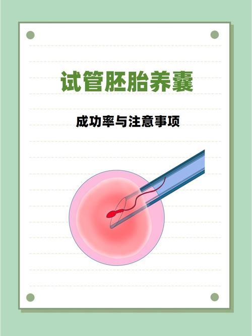 成都囊胚培养是什么？试管成功的关键一步