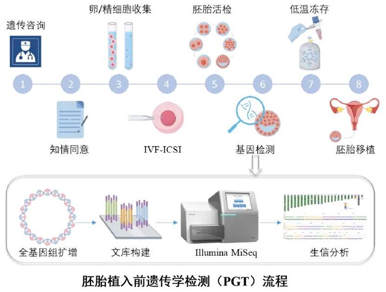 成都三代试管筛查项目有哪些 能查什么病