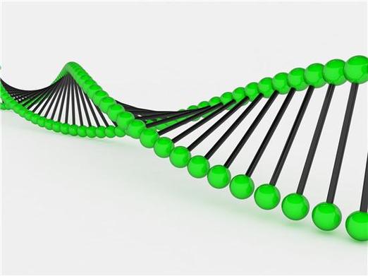 成都三代试管可以筛选基因吗？能查哪些遗传病、具体咋筛讲明白